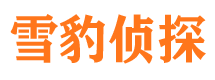 康乐私家调查公司